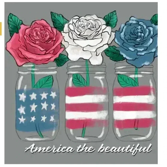 American Tee Graphite- Large - Picture 2 of 2